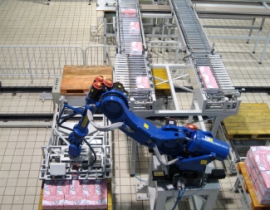 紙箱碼垛機,碼垛機器人流水線